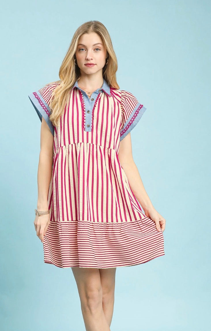 Berry Lane Stripe Dress