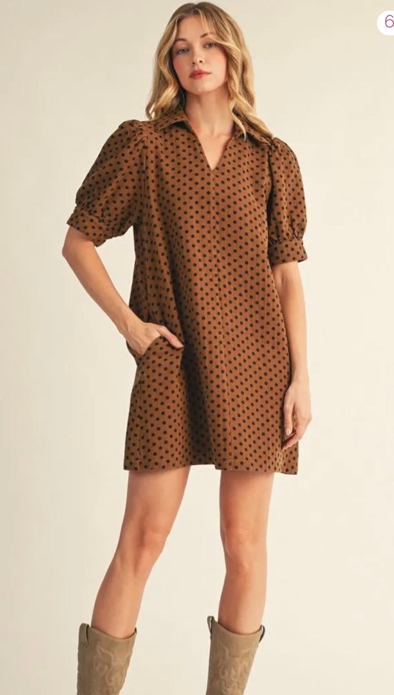 Brown & Black Polka Dot Dress