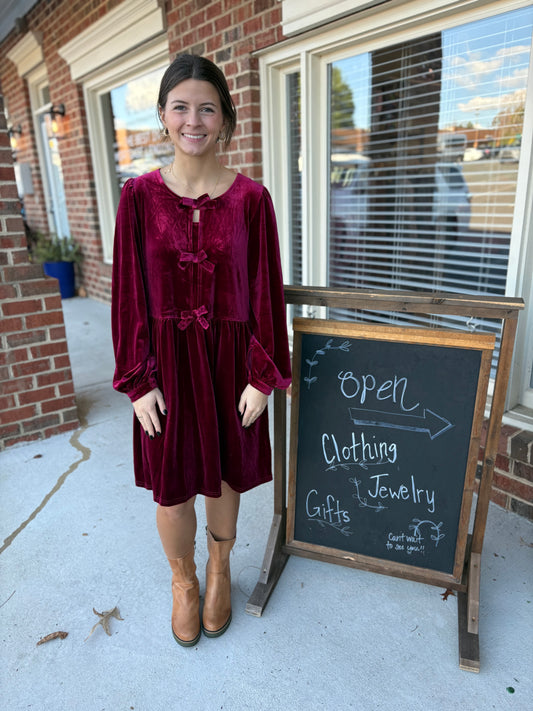 Elegant Velvet Dress w/Bow Accents